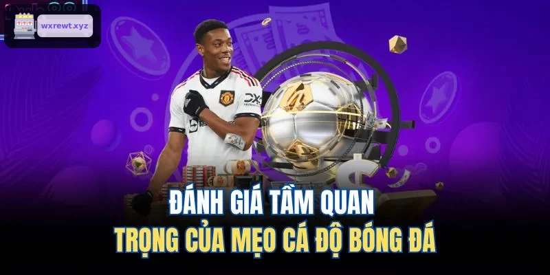 Đánh giá tầm quan trọng của mẹo cá độ bóng đá