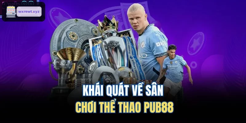 Khái quát về sân chơi thể thao 123BET